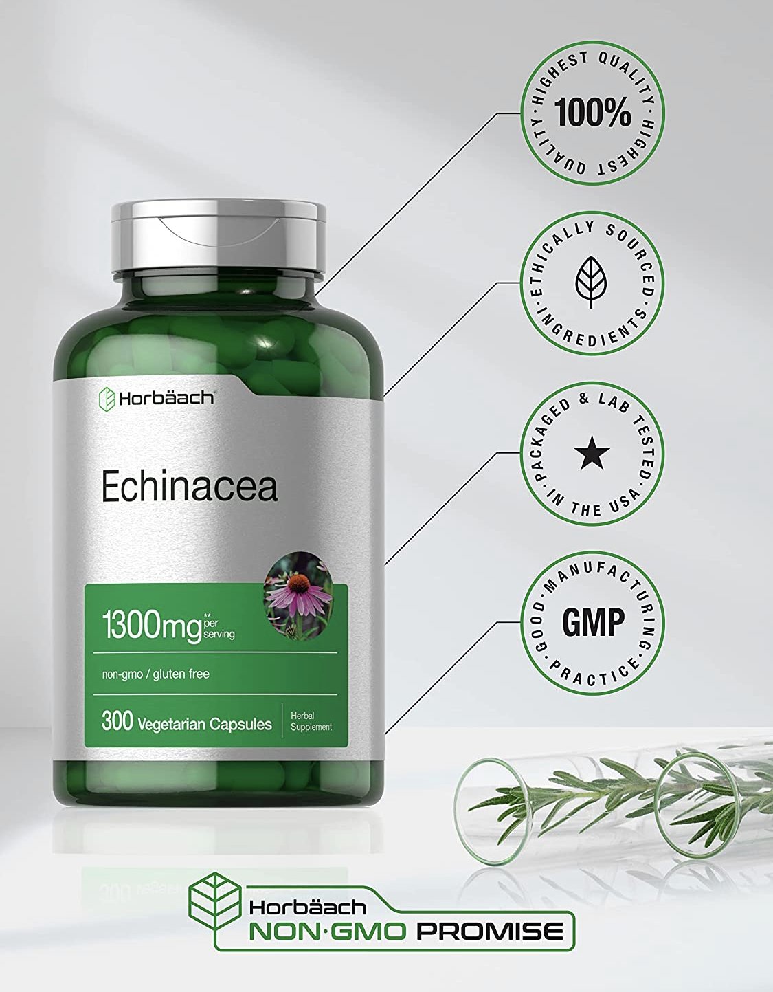 Echinacea Extract Capsules 1300mg - sharing